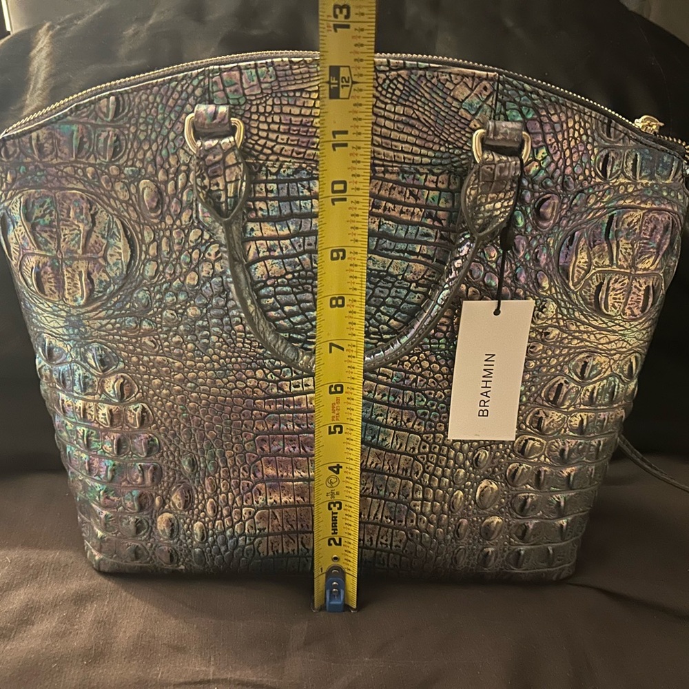 Mother of pearl Brahmin - Picture 6 of 8